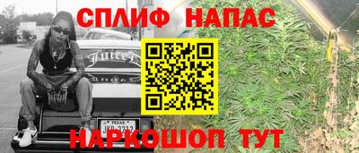 стаф Бийск