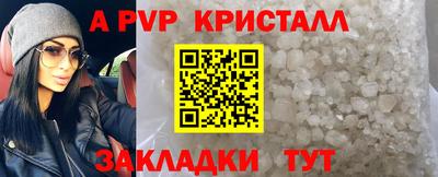 стаф Бийск